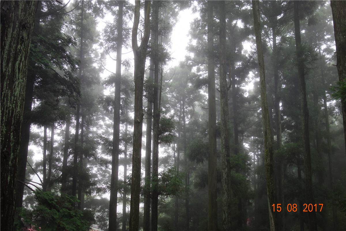 4166全球赢家的信念之选(中国)有限公司