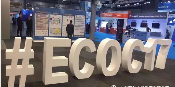 4166全球赢家的信念之选(中国)有限公司