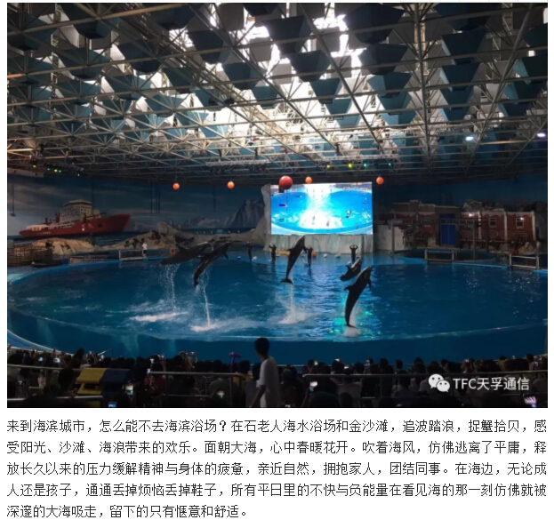 4166全球赢家的信念之选(中国)有限公司