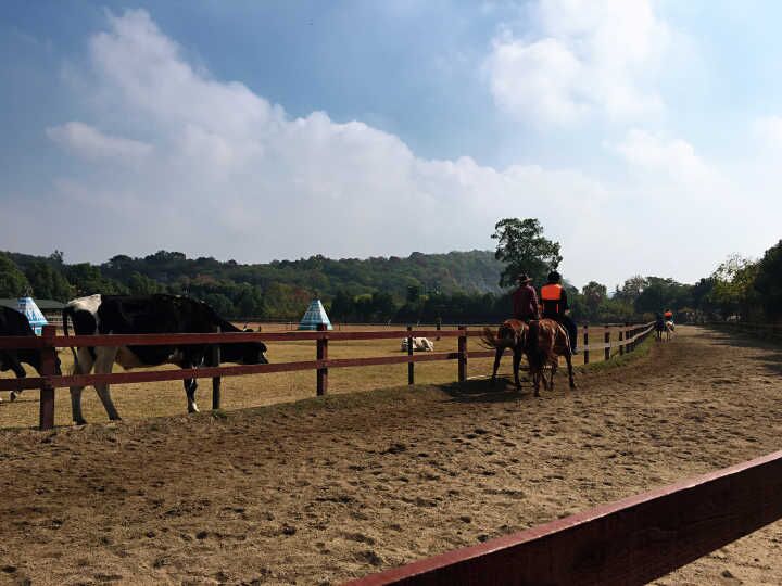 4166全球赢家的信念之选(中国)有限公司