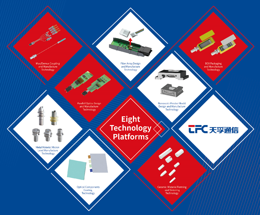 4166全球赢家的信念之选(中国)有限公司
