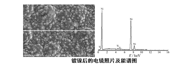 4166全球赢家的信念之选(中国)有限公司