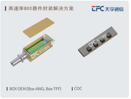 4166全球赢家的信念之选(中国)有限公司
