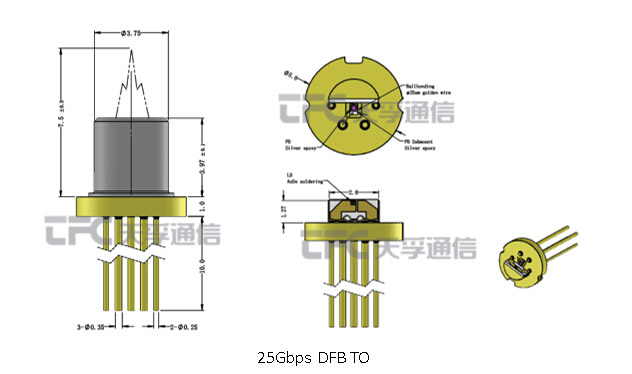 4166全球赢家的信念之选(中国)有限公司