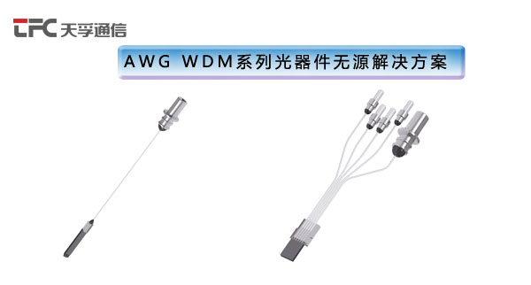 4166全球赢家的信念之选(中国)有限公司