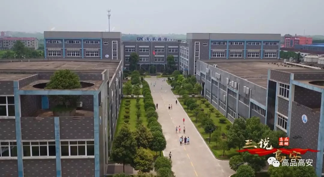 4166全球赢家的信念之选(中国)有限公司