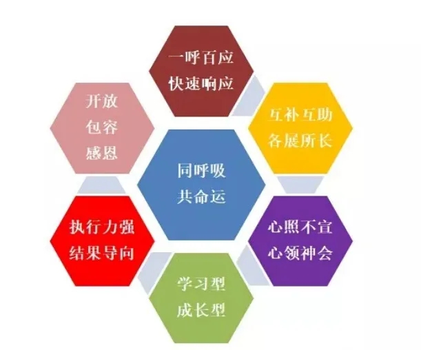 4166全球赢家的信念之选(中国)有限公司